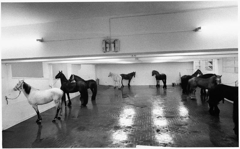  Senza Titolo, 1969, Galleria L'Attico Roma