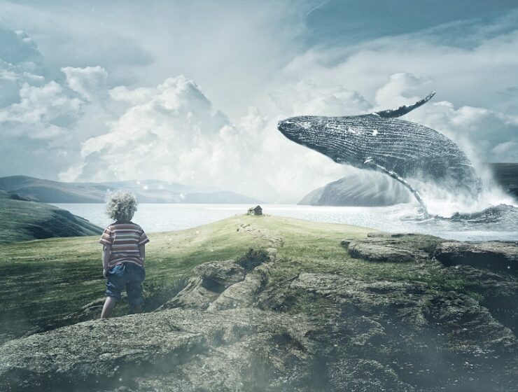 bambino guarda balena